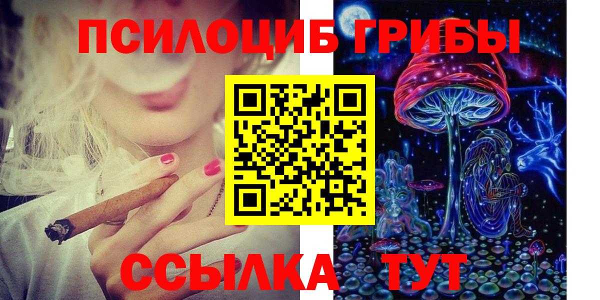 Назрань  Галлюциногенные грибы Psilocybe  Вход с VPN 